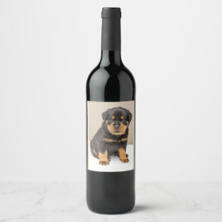 Cute Rottweiler Puppy Wine Label