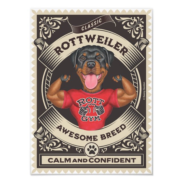 Cute Rottweiler Rottie with Muscles Photo Print (Front)