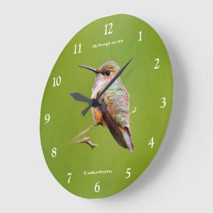 Cute Rufous Hummingbird on California Lilac Large Clock