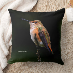 Cute Rufous Hummingbird on Fruit Tree Throw Pillow