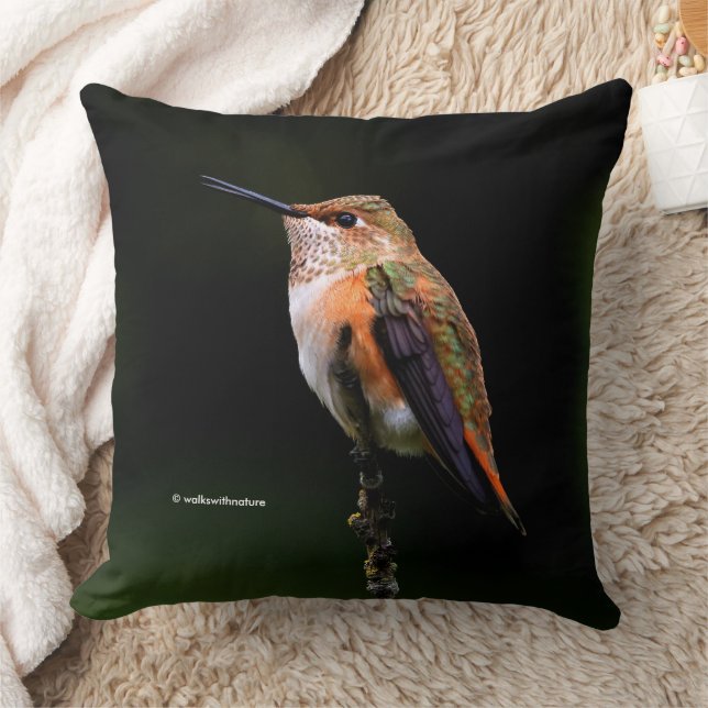 Cute Rufous Hummingbird on Fruit Tree Throw Pillow (Blanket)