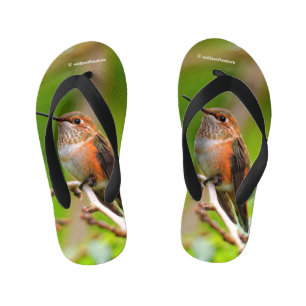Cute Rufous Hummingbird on Plum Tree Branch Kid's Flip Flops