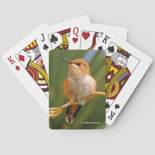 Cute Rufous Hummingbird Perched on Flower Playing Cards (Back)