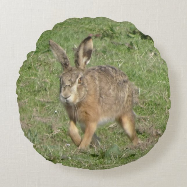 Cute Running Hare Close up Round Pillow (Front)
