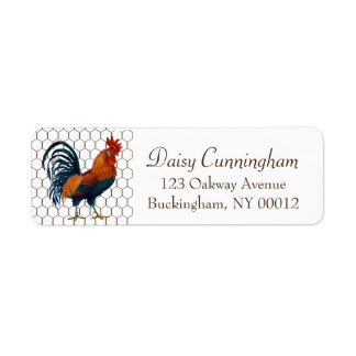 Cute Russe Pays Rooster Poulet