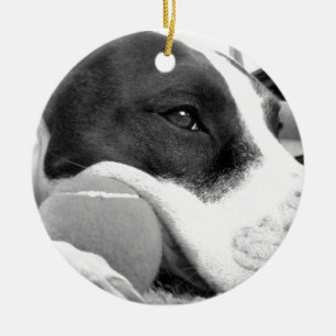 cute sad looking pitbull dog black white with ball ceramic ornament