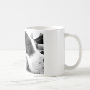 cute sad looking pitbull dog black white with ball coffee mug