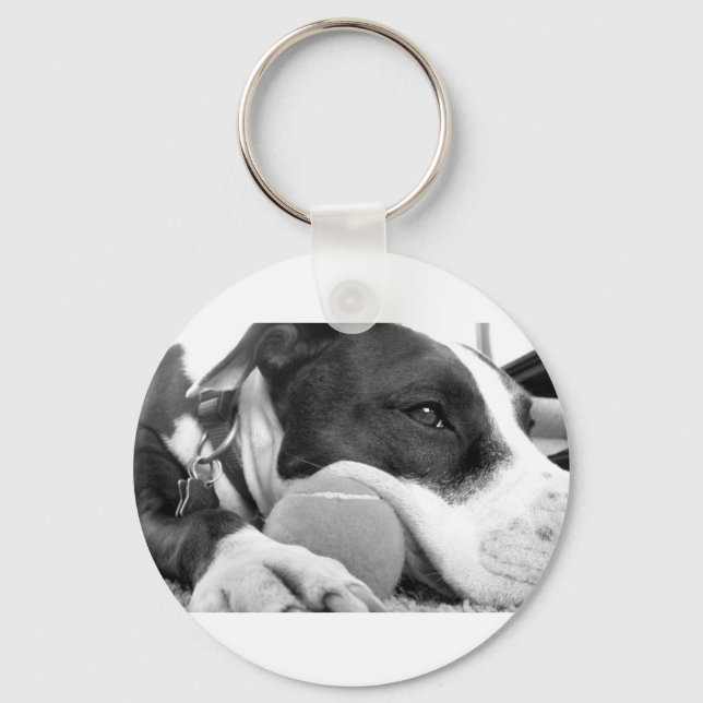 cute sad looking pitbull dog black white with ball keychain (Front)