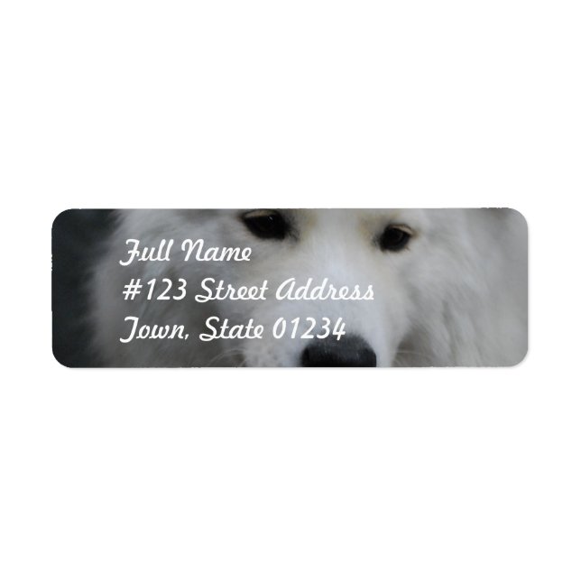 Cute Samoyed Mailing Labels (Front)