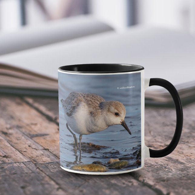 Cute Sanderling Sandpiper Forages on Shore Mug (Cute Sanderling Forages on Shore 11 oz Coffee Mug Cover Photo.)