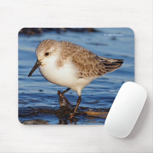 Cute Sanderling Sandpiper Shorebird Wanders Beach Mouse Pad (With Mouse)