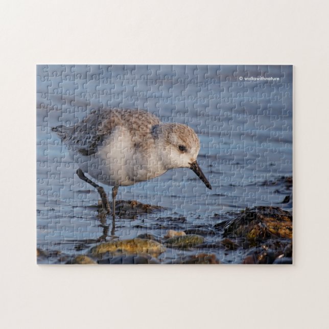 Cute Sanderling Sandpiper Strolling on the Shore Jigsaw Puzzle (Horizontal)