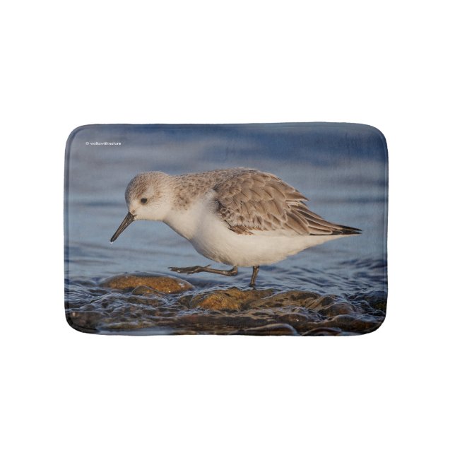 Cute Sanderling Sandpiper Walking Winter Beach Bath Mat (Front)
