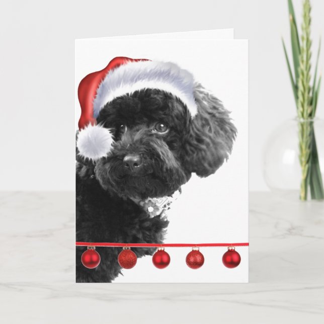 Cute Santa Dog l Holiday Custom Greeting Card (Front)