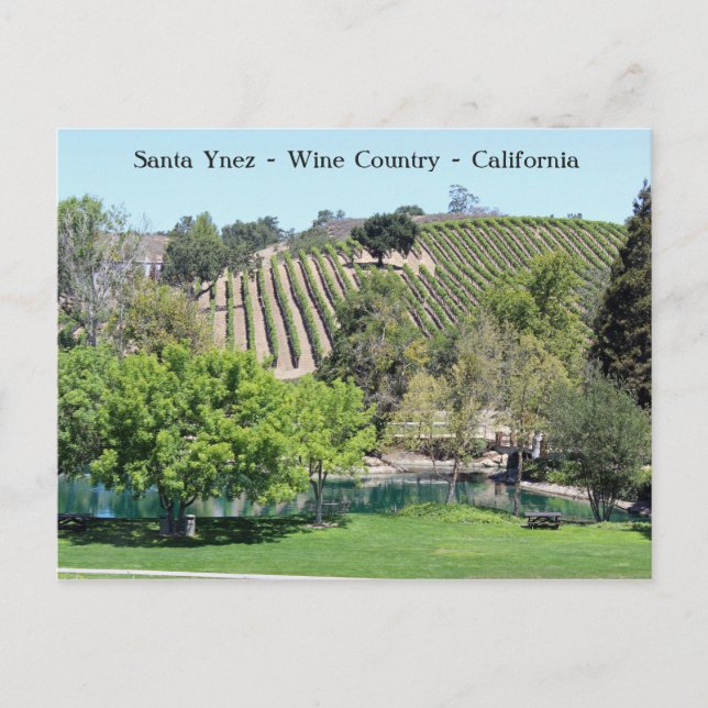 Cute Santa Ynez Wine Country Postcard! Postcard (Front)