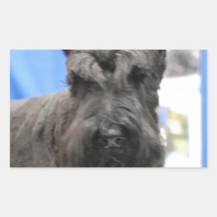 Cute Schnauzer Stickers