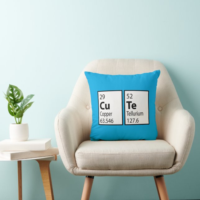 Cute Science Geek Throw Pillow (Chair)