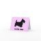 Cute Scottie