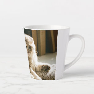 Cute Scottish Fold Cat Mug - Cozy Cat Lover Coffee