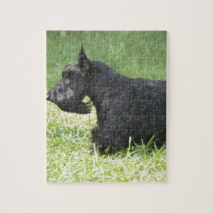 Cute Scottish Terrier Jigsaw Puzzle