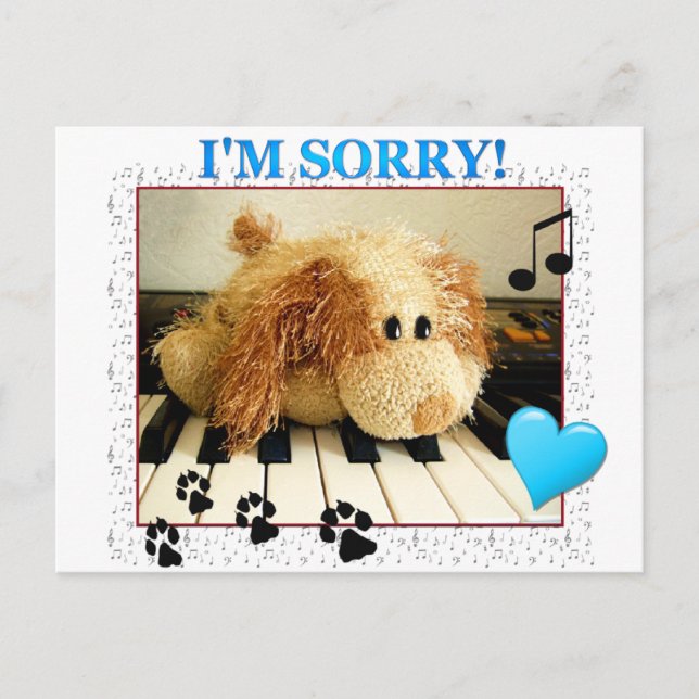 Cute scruffy dog I'm Sorry Postcard (Front)