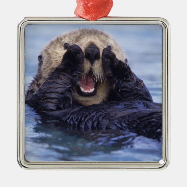 Cute Sea Otter | Alaska, USA Metal Ornament (Front)
