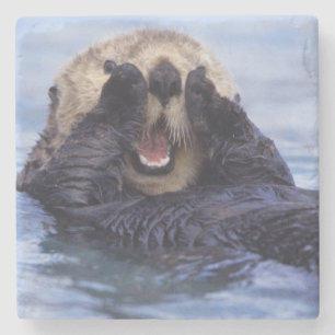 Cute Sea Otter   Alaska, USA Stone Coaster