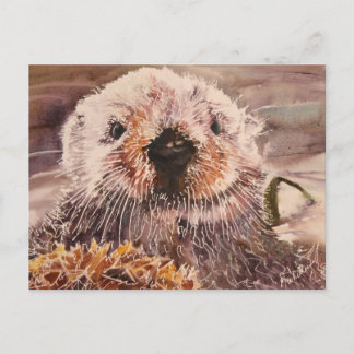 Cute Sea Otter Postcard