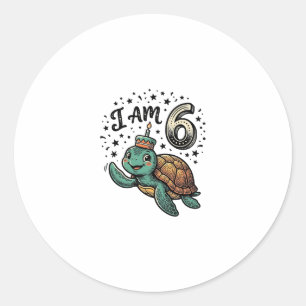 Cute Sea Turtle 6th Birthday Vintage Shirt Design_ Classic Round Sticker