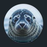 Cute Seal Close up Magnet<br><div class="desc">Adorable seal sticking his head out of the water. Cute eyes, pretty coat and just adorable.</div>