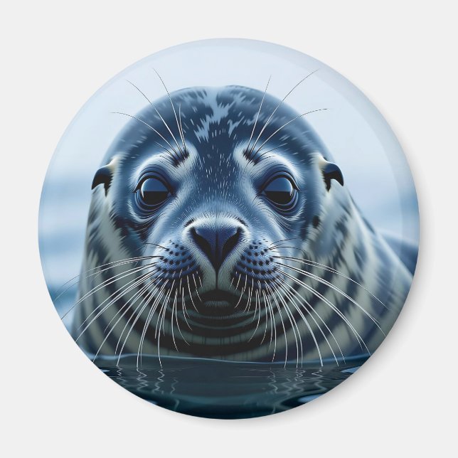 Cute Seal Close up Magnet (Front)