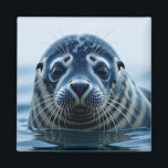 Cute Seal Close up Magnet<br><div class="desc">Adorable seal sticking his head out of the water. Cute eyes, pretty coat and just adorable.</div>