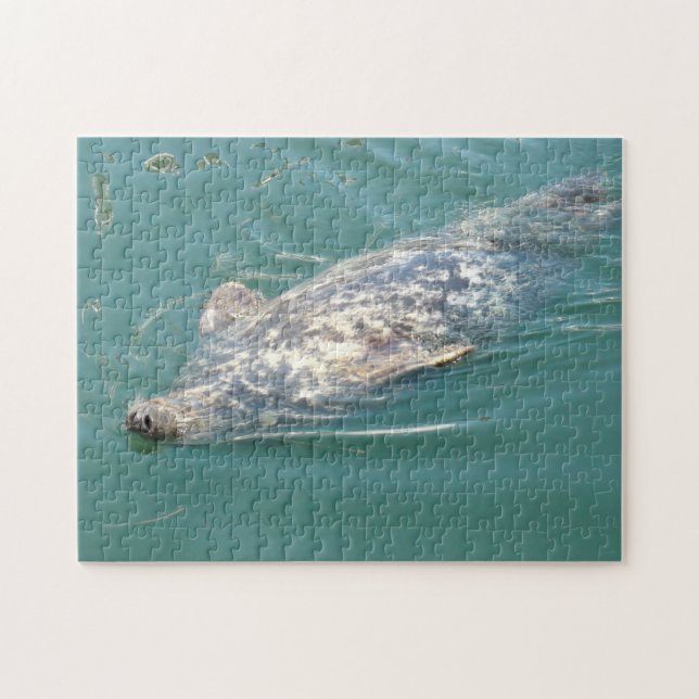 Cute Seal Floating on his Back in Cape Cod Jigsaw Puzzle (Horizontal)