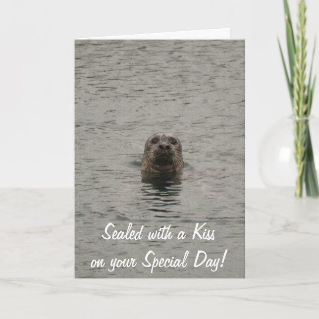 Cute Seal-lover's Birthday Card (Front)