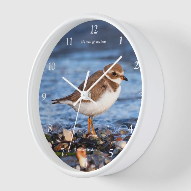 Cute Semipalmated Plover Sandpiper Shorebird Wall Clock (Angle)