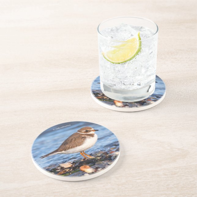 Cute Semipalmated Plover Shorebird on Winter Beach Coaster (Side)