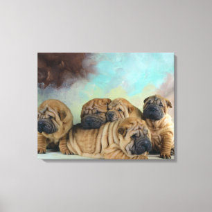 Cute Shar pei puppies Canvas Print