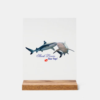Cute Shark lovers Shot Glass Acrylic Sign