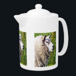 CUTE SHEEP<br><div class="desc">A photographic design of a cute sheep.</div>