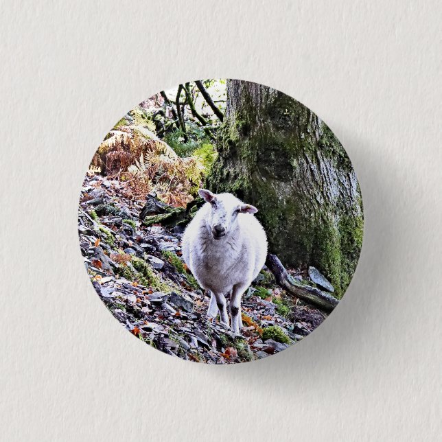 CUTE SHEEP 1 INCH ROUND BUTTON (Front)