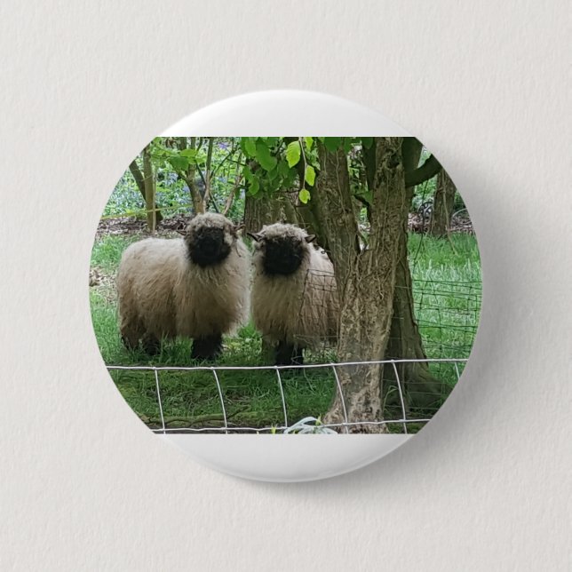 Cute Sheep 2 Inch Round Button (Front)
