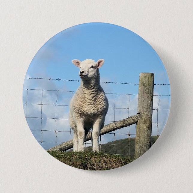 CUTE SHEEP 3 INCH ROUND BUTTON (Front)