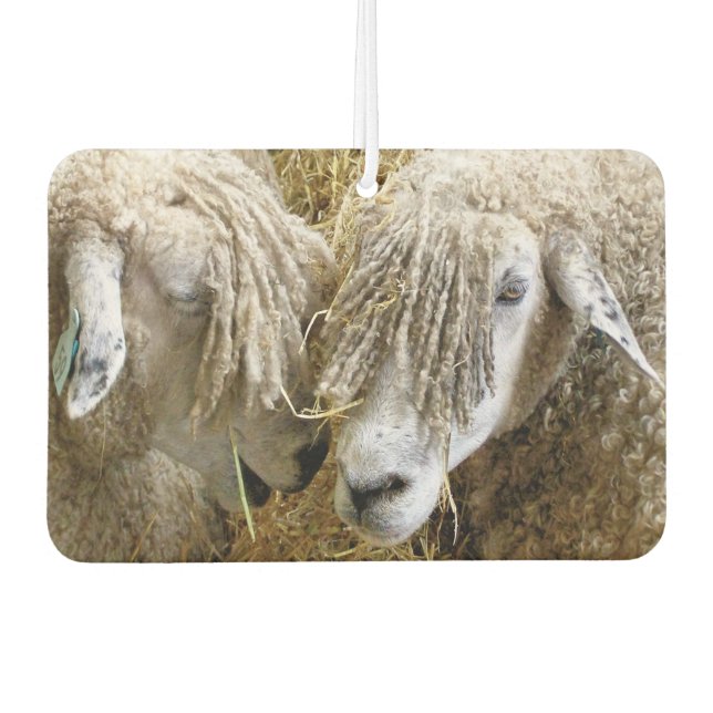 CUTE SHEEP AIR FRESHENER (Front)