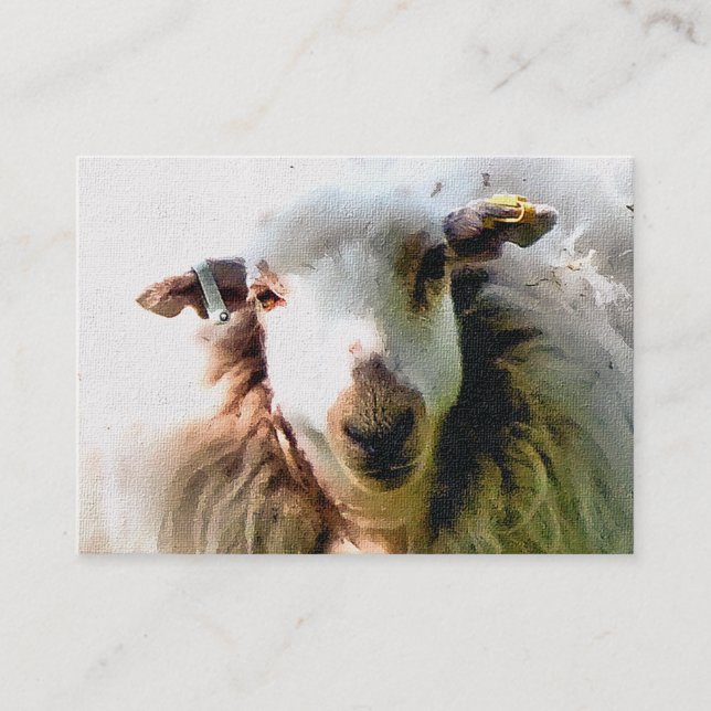 CUTE SHEEP BUSINESS CARD (Front)