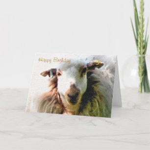 CUTE SHEEP CARD