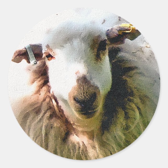 CUTE SHEEP CLASSIC ROUND STICKER (Front)