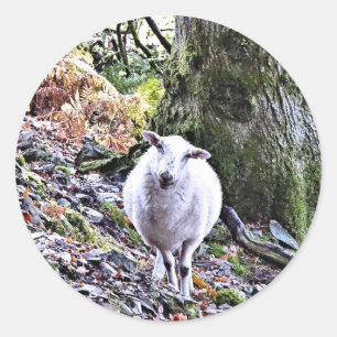 CUTE SHEEP CLASSIC ROUND STICKER