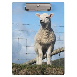 CUTE SHEEP CLIPBOARD