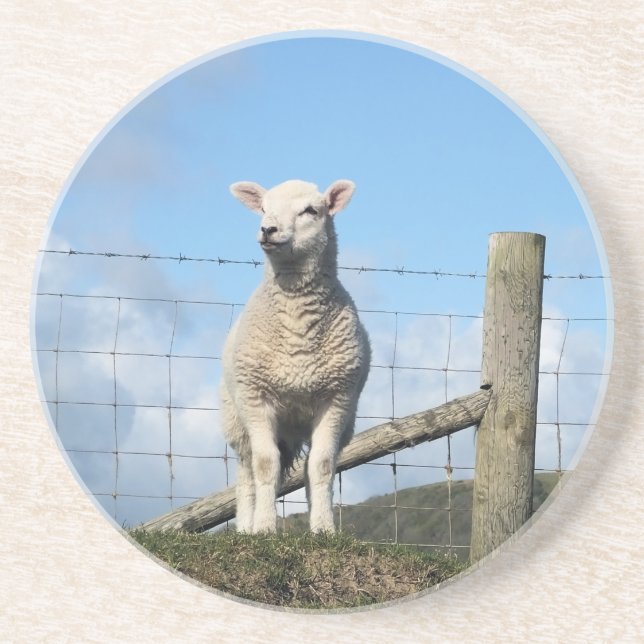 CUTE SHEEP COASTER (Front)
