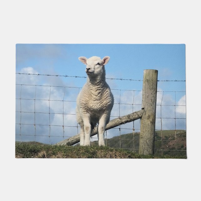 CUTE SHEEP DOORMAT (Front)